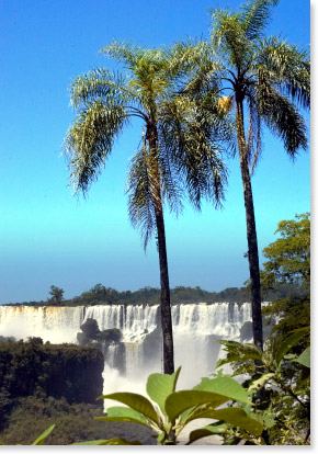 Iguacu National Park - Wasserfall im brasilianischen Regenwald